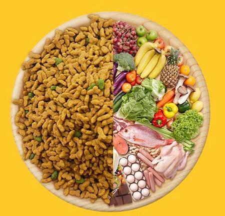 Animal Nutrition & Health