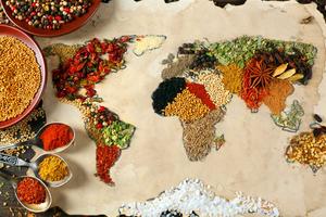MAYNAM Flavours flavouring the world