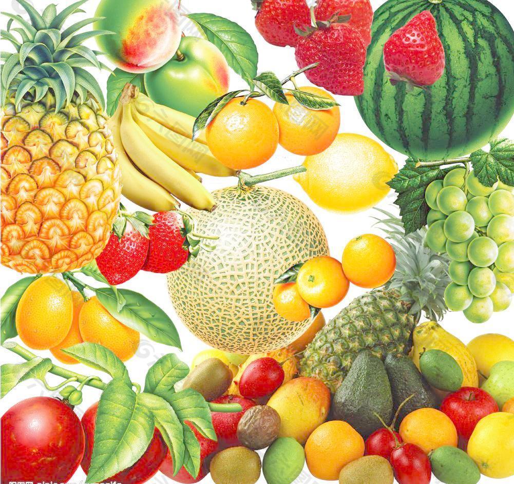 Fruits